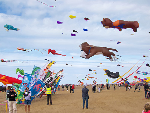 Kite Festival